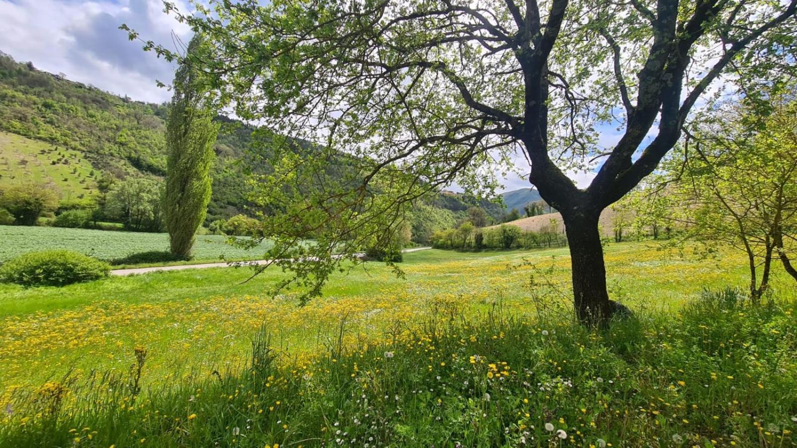 Pensjonat Casa Zia Cianetta Residenza Di Campagna Capodacqua  Zewnętrze zdjęcie