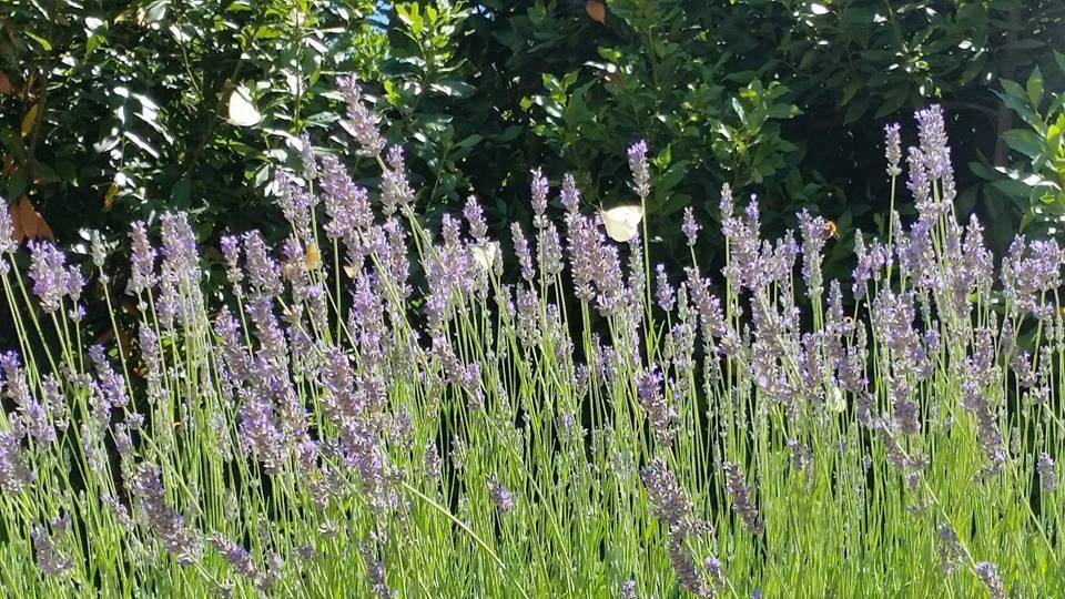 Pensjonat Casa Zia Cianetta Residenza Di Campagna Capodacqua  Zewnętrze zdjęcie